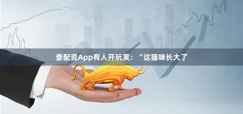 查配资App有人开玩笑：“这猫咪长大了
